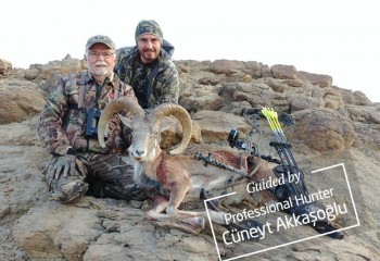 Blanford Urial & Sind Ibex (Prime Area)